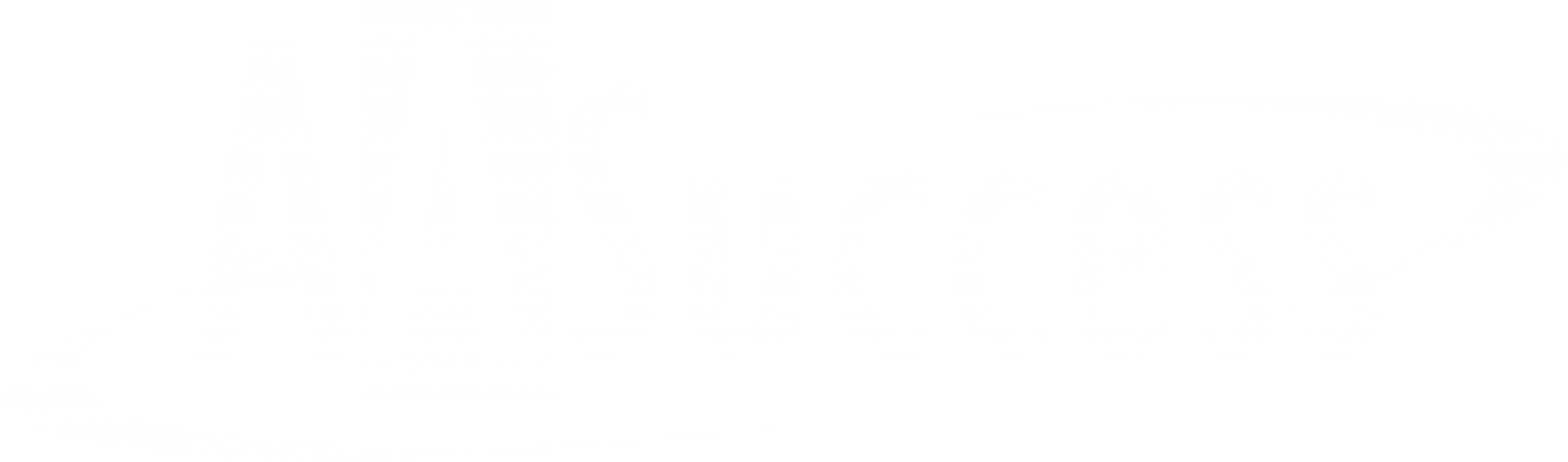 AASuccess