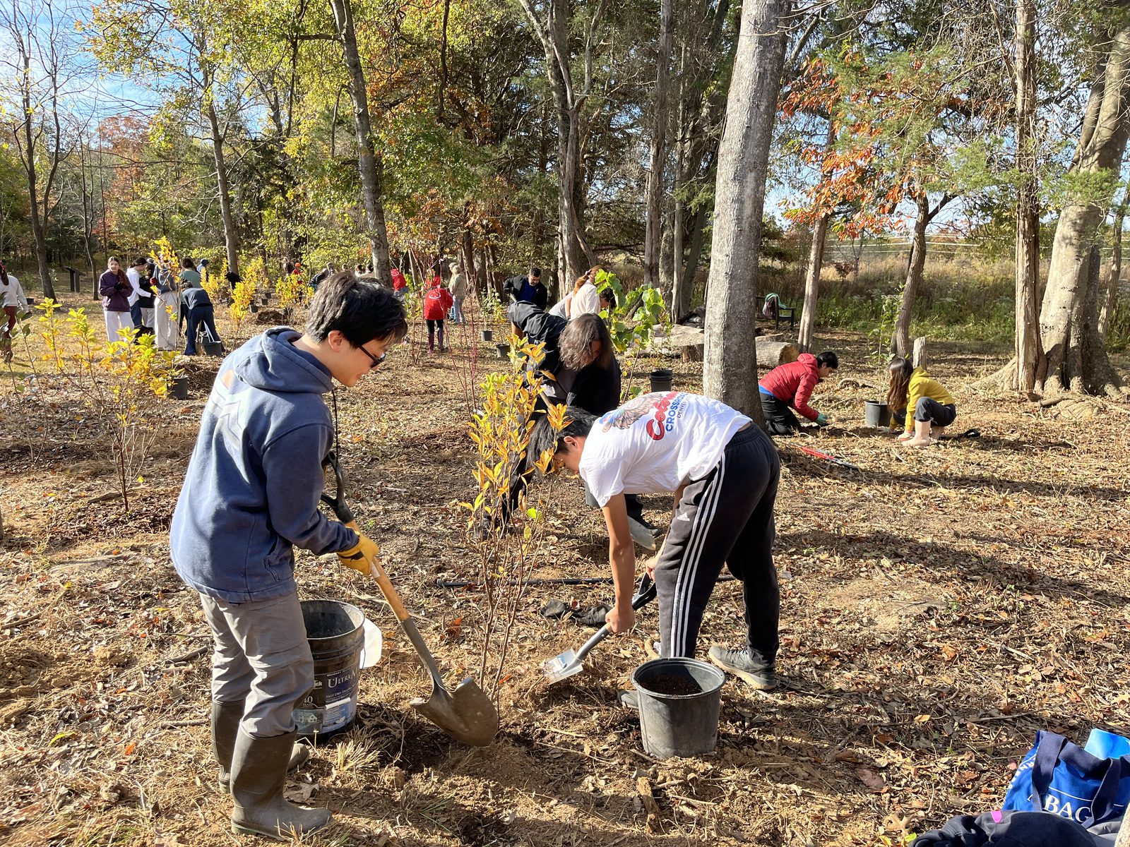 Students planting trees at Leopold's Preserve